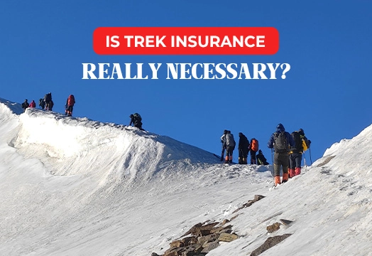 Is Trek Insurance Really Necessary?